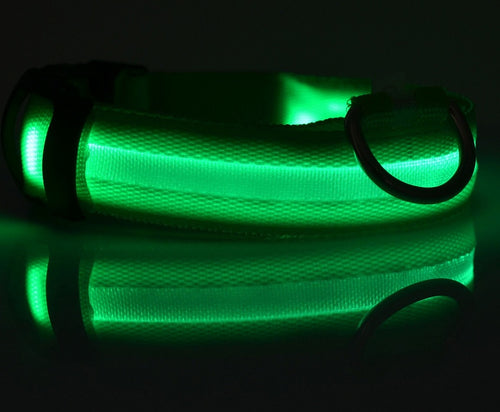 Collier LED Lumineux pour Chien et Chat – Sécurité Nocturne Ajustable