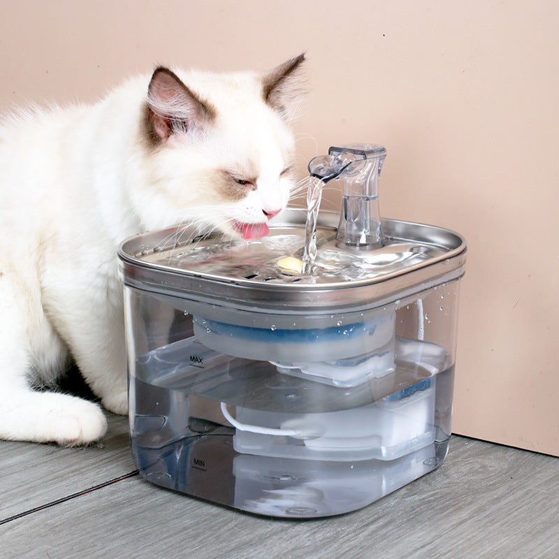 Fontaine à Eau Inox Automatique pour Chien et Chat – Filtrante & Silencieuse