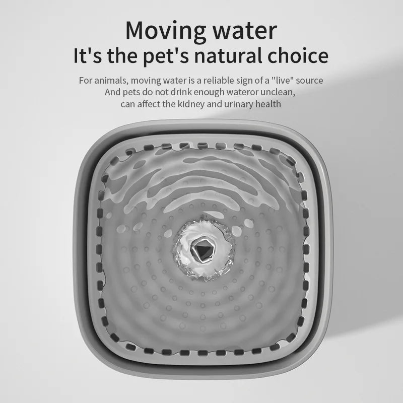 Fontaine à eau pour chat 3L – Filtrante, silencieuse & USB